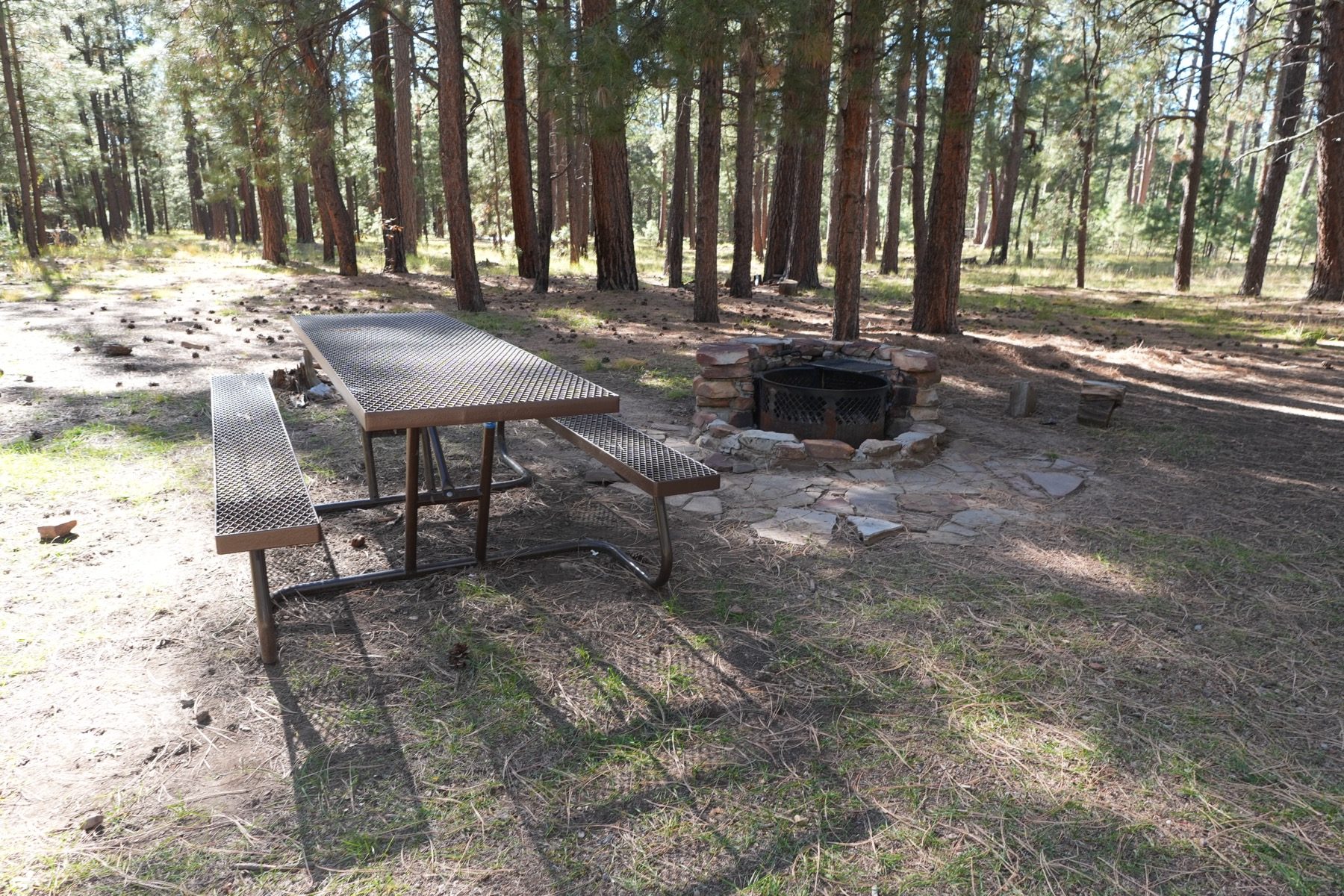 Daylight campsite with a picnic table, fire ring and trees