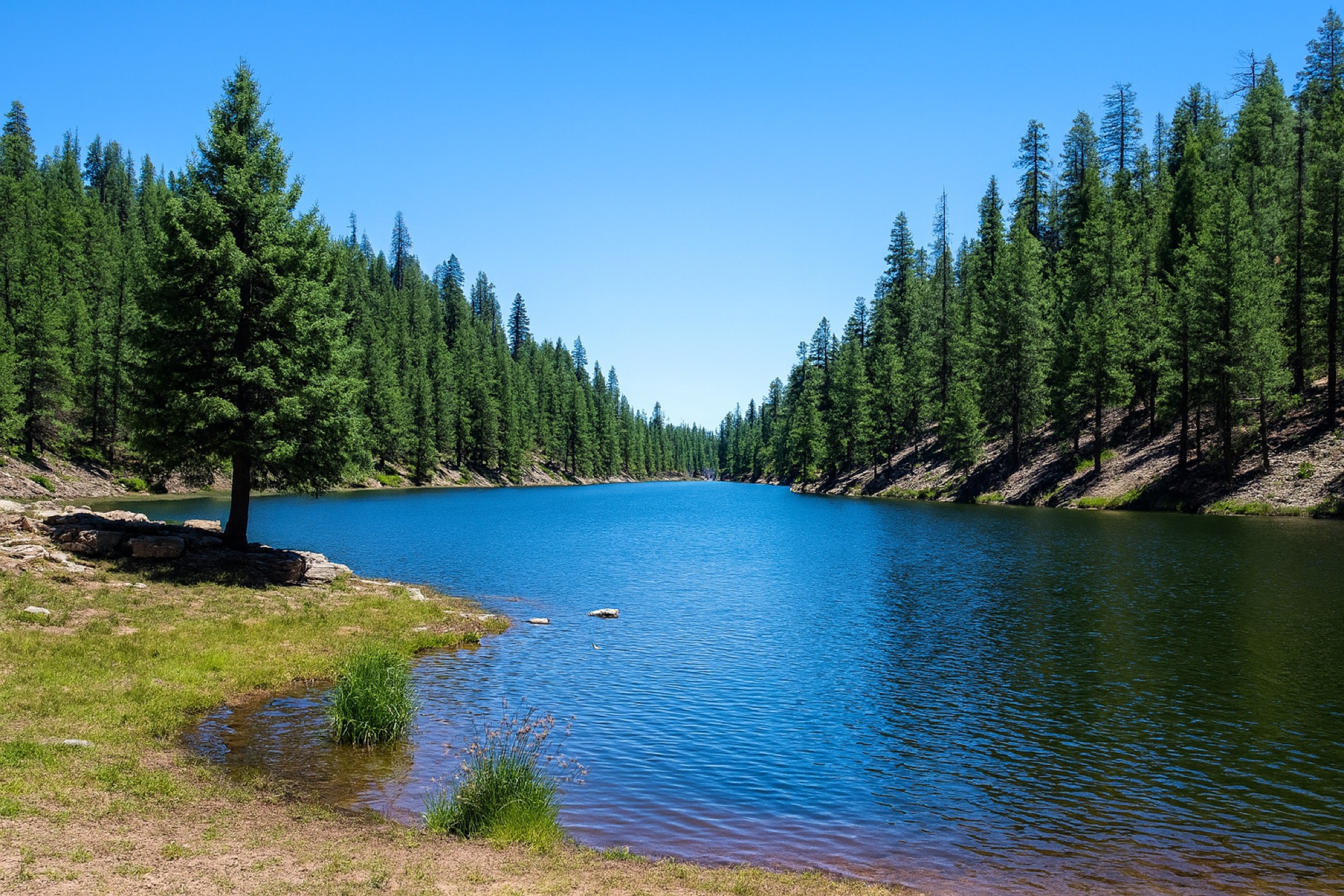 Bear Canyon Lake Campground