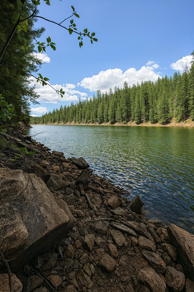 Shaded shoreline