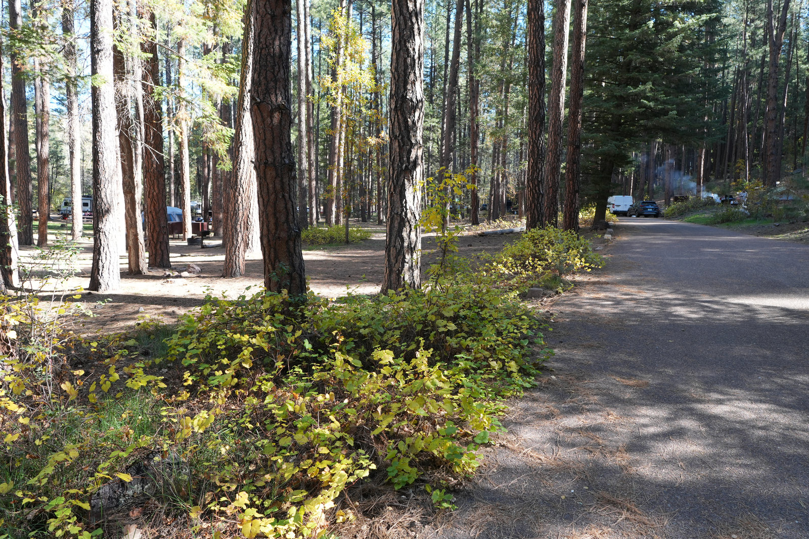 Christopher Creek Campground