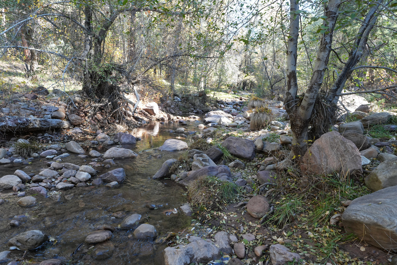 Camp road