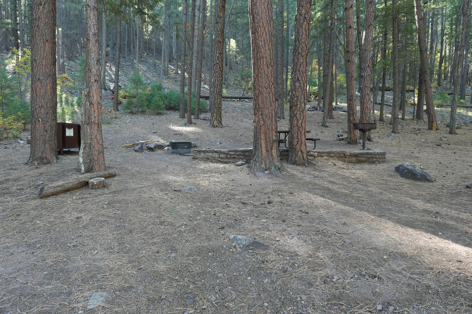 Shaded site