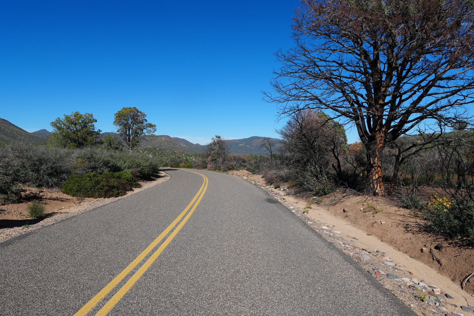 Trail vista