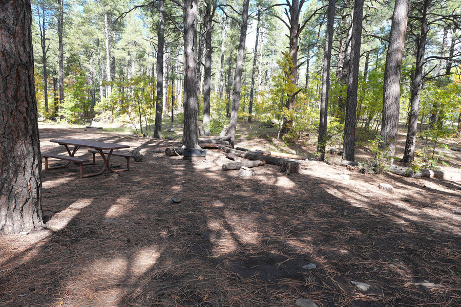 Trail nearby
