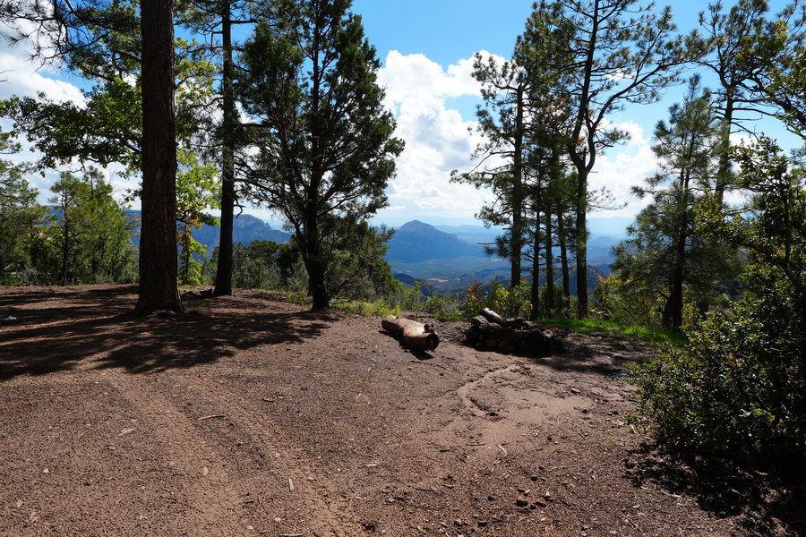 Forest road approach