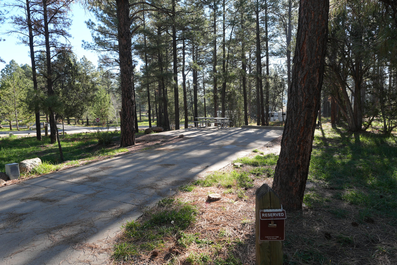 Trail view