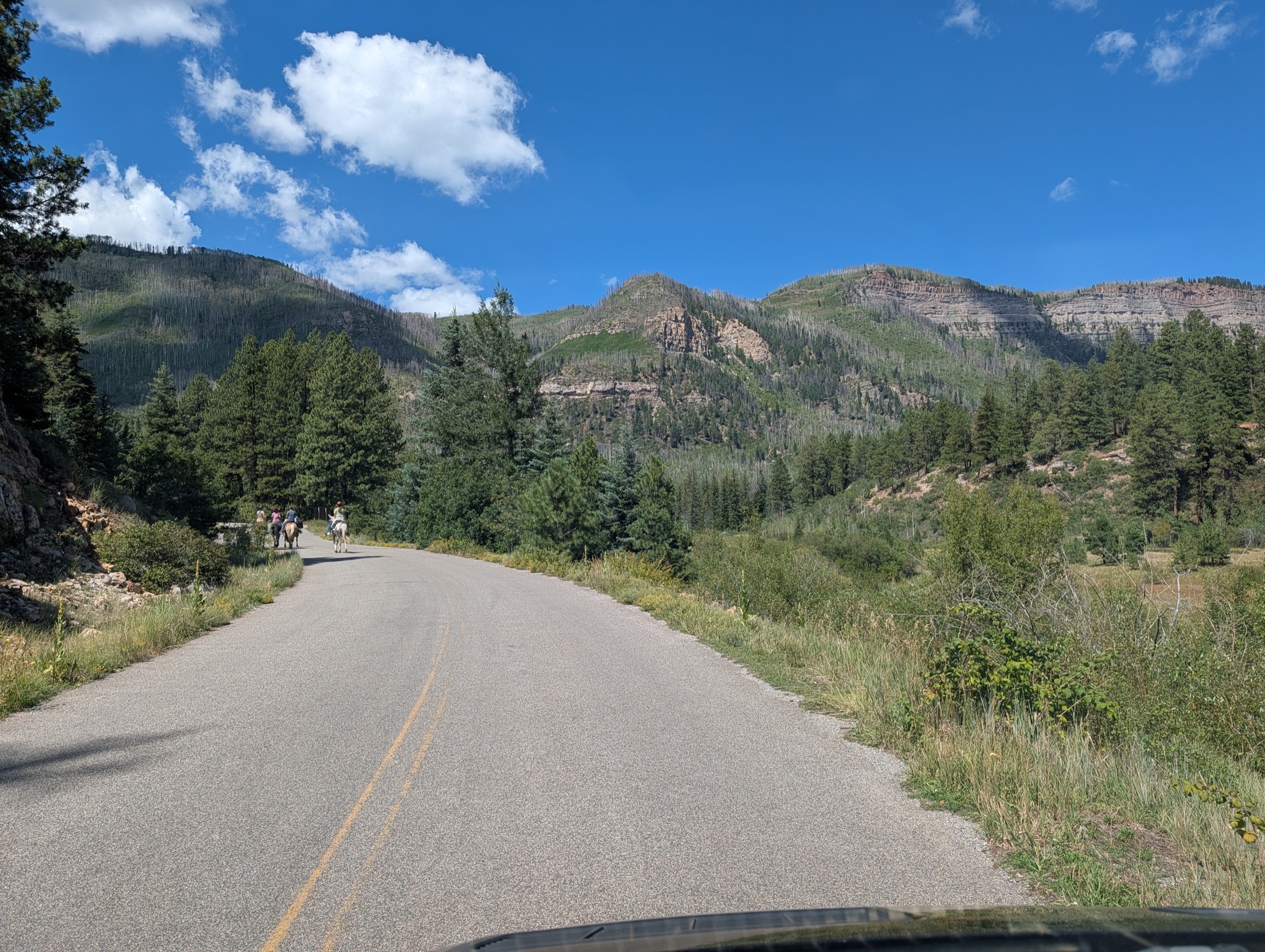 Mountain road north of Durango near Haviland Lake