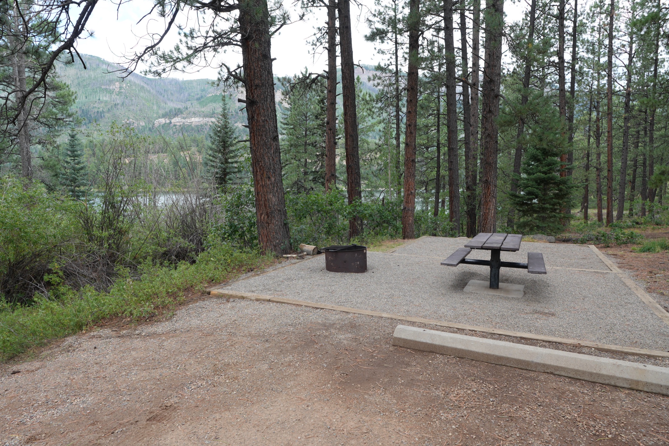 Campsite with a view through the pines to Haviland Lake