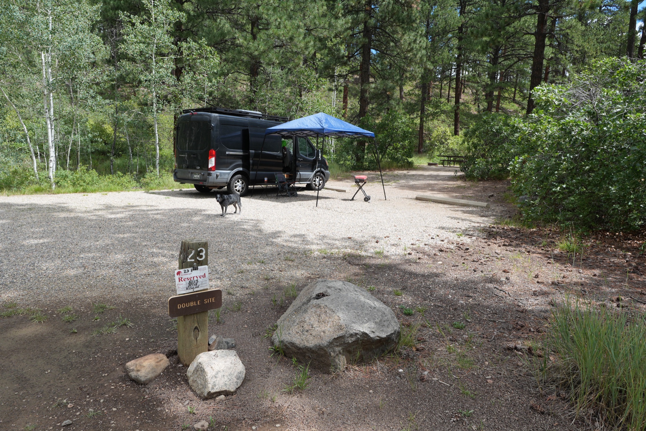 Van campsite among pines and aspens