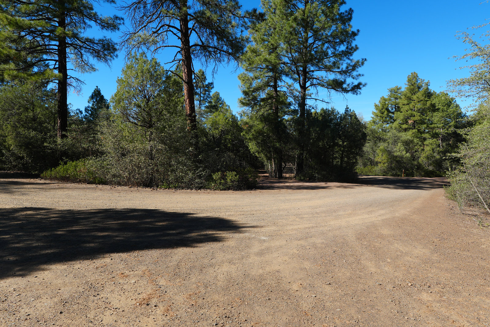 Trail nearby