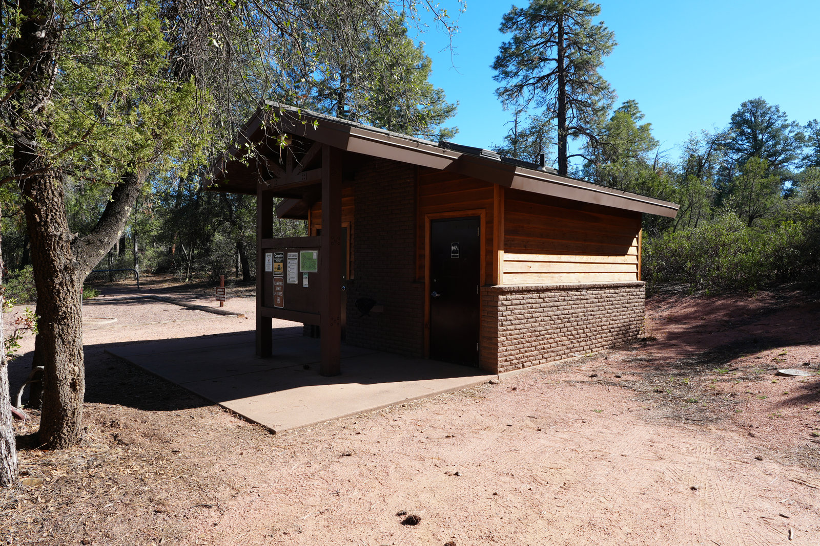 Ponderosa canopy