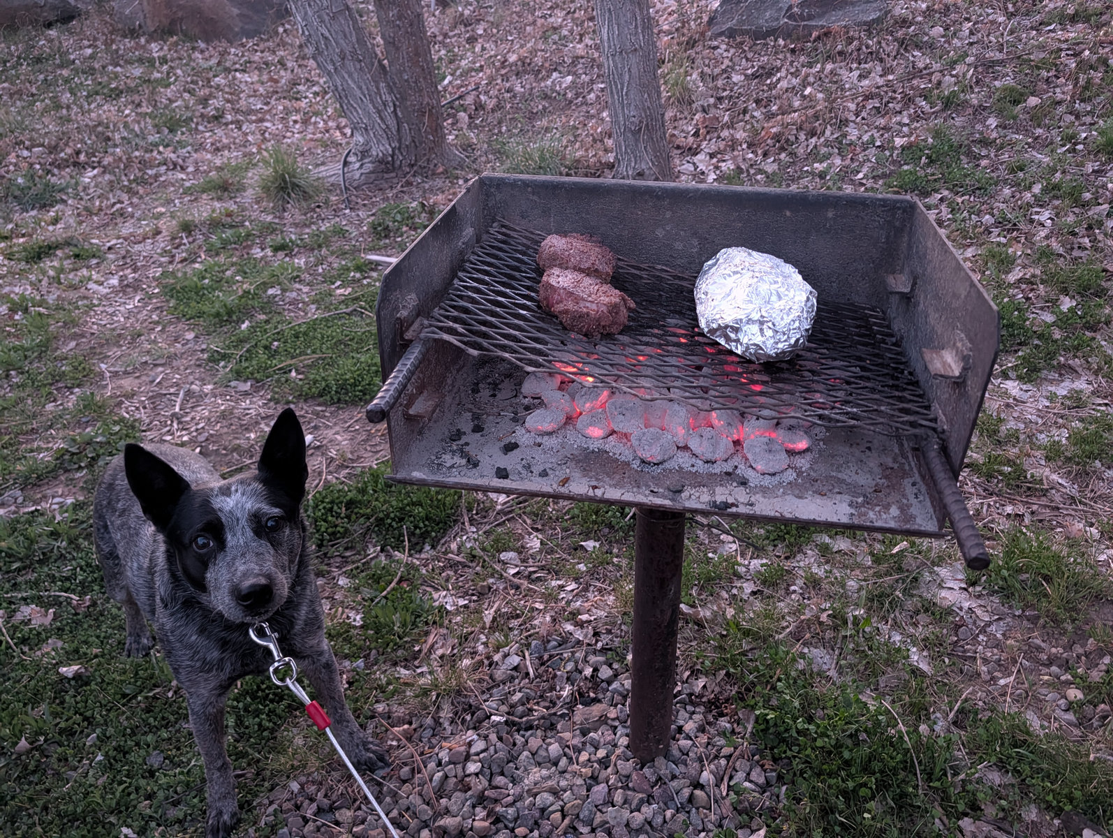 Camp grill dinner at Lake Cuyamaca