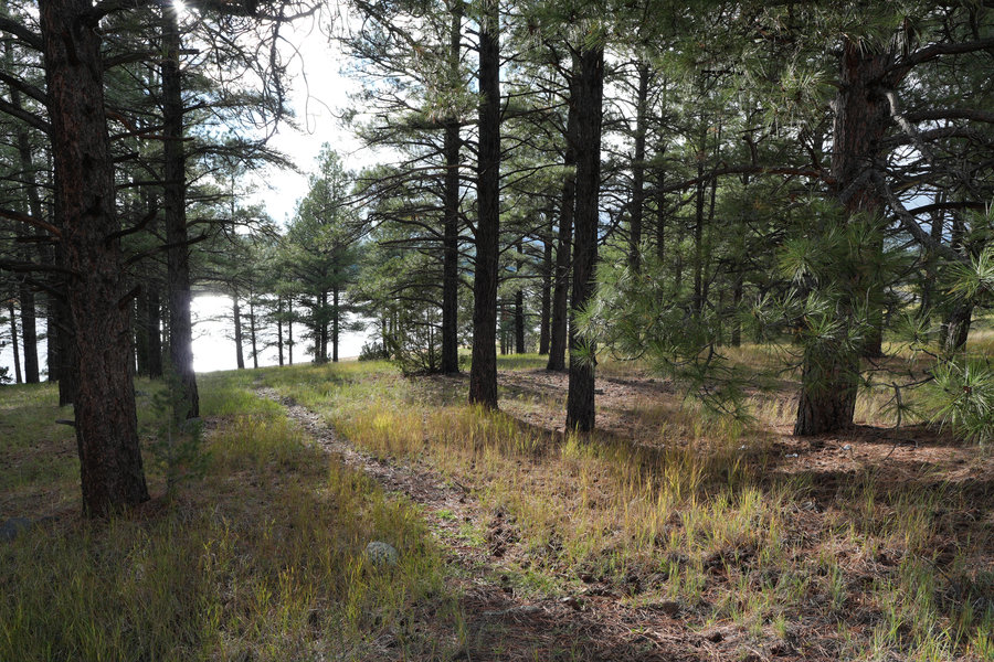 Road along Lake Mary