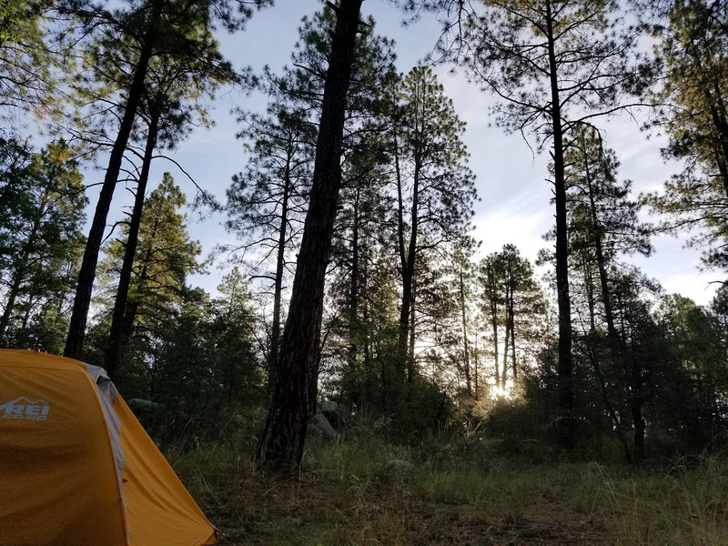 Evening at camp