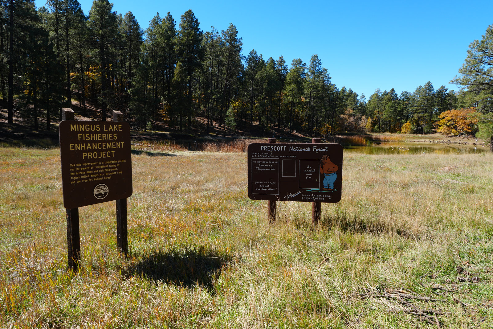 Camp loop