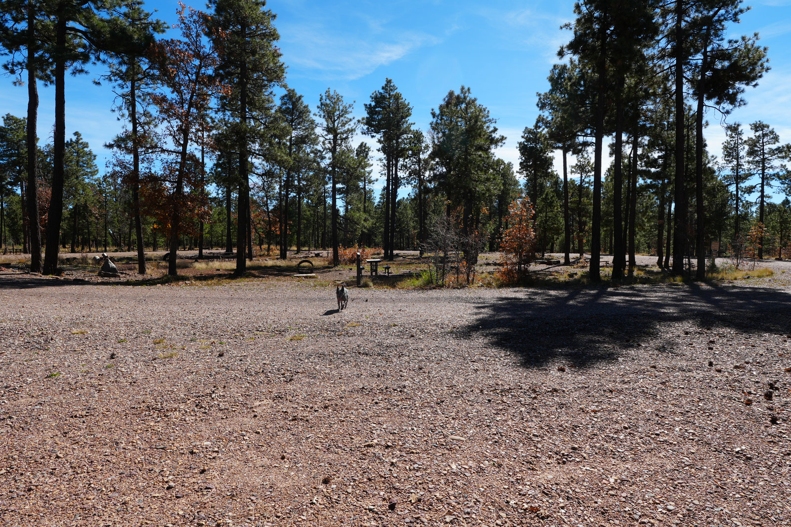 Quiet campsite