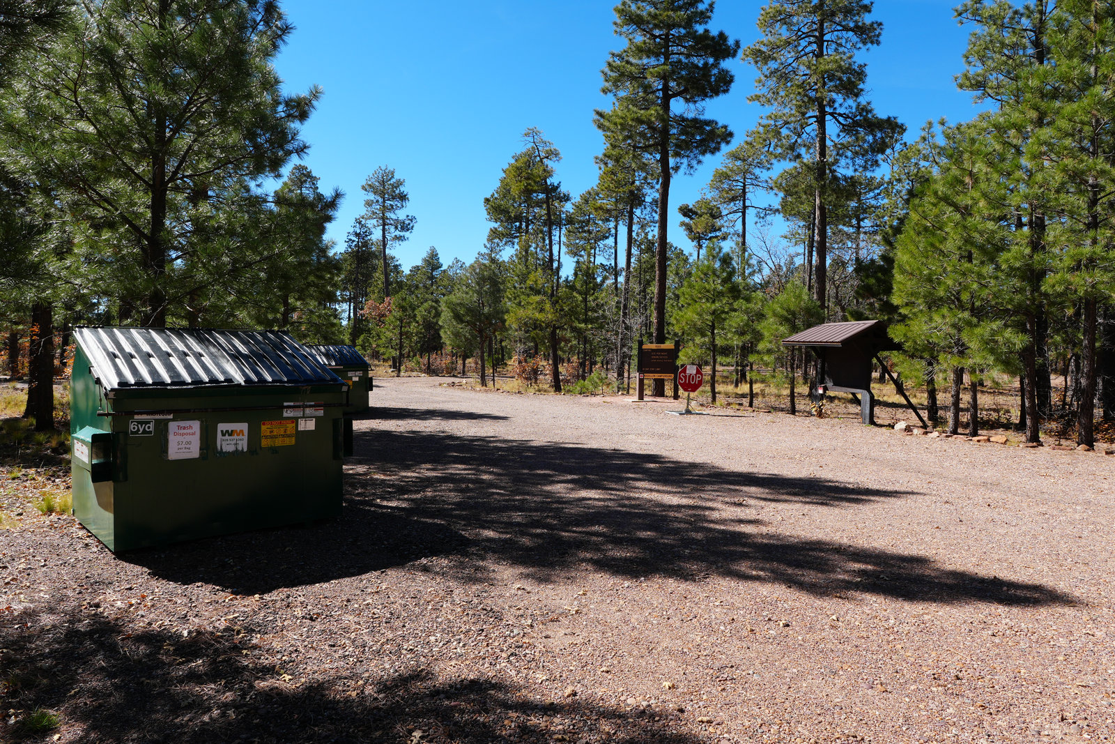 Evening at camp