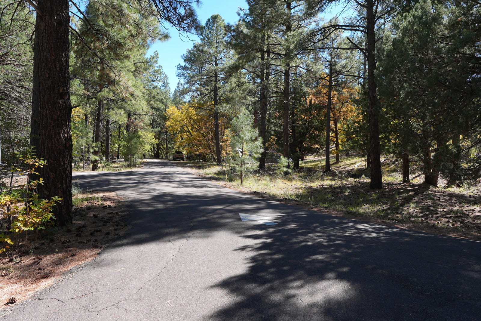Road and signage