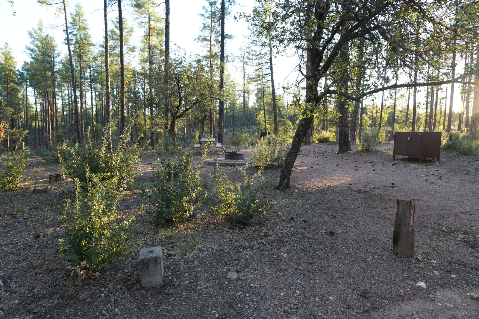 Camp road