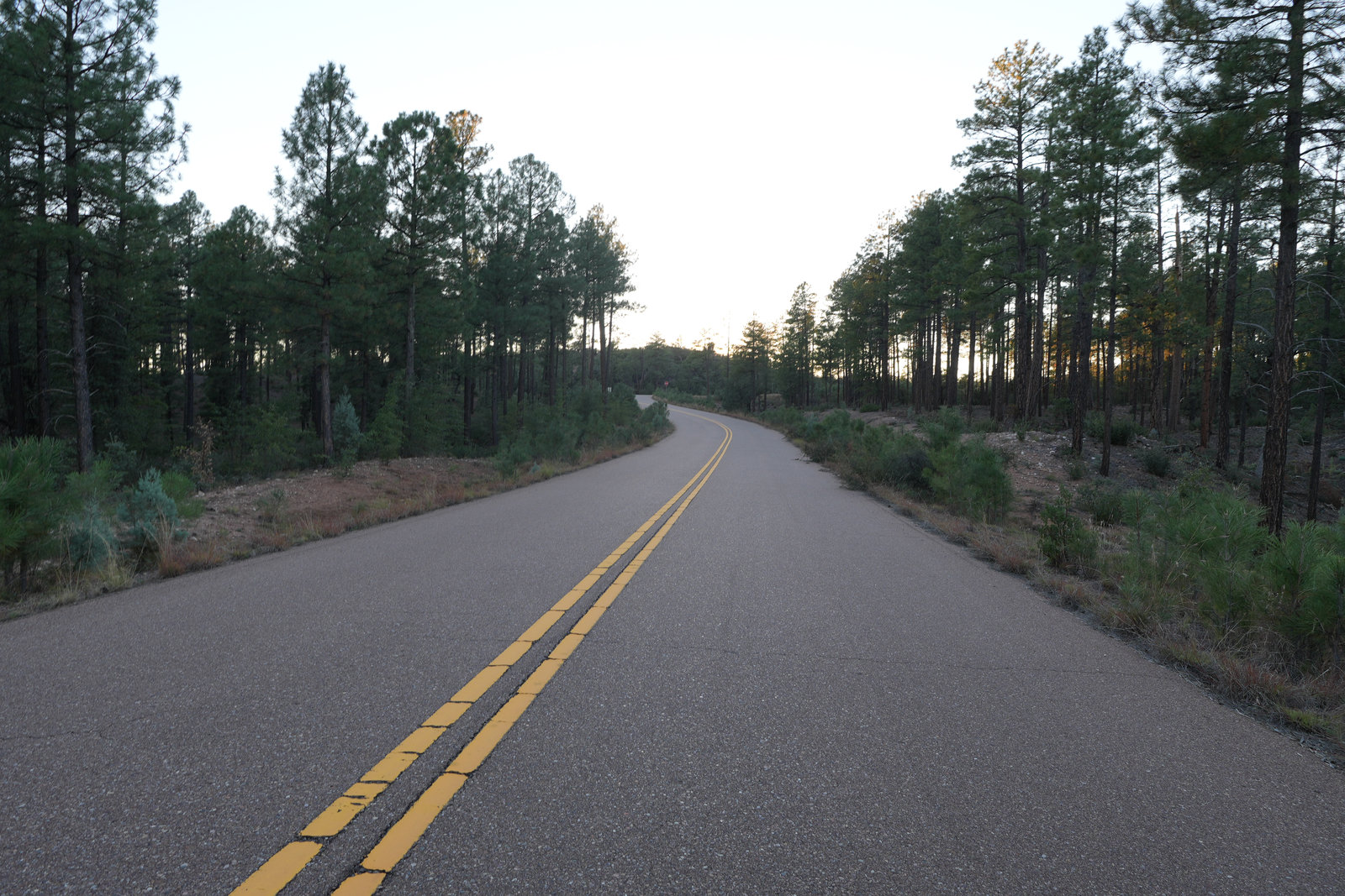 Road out