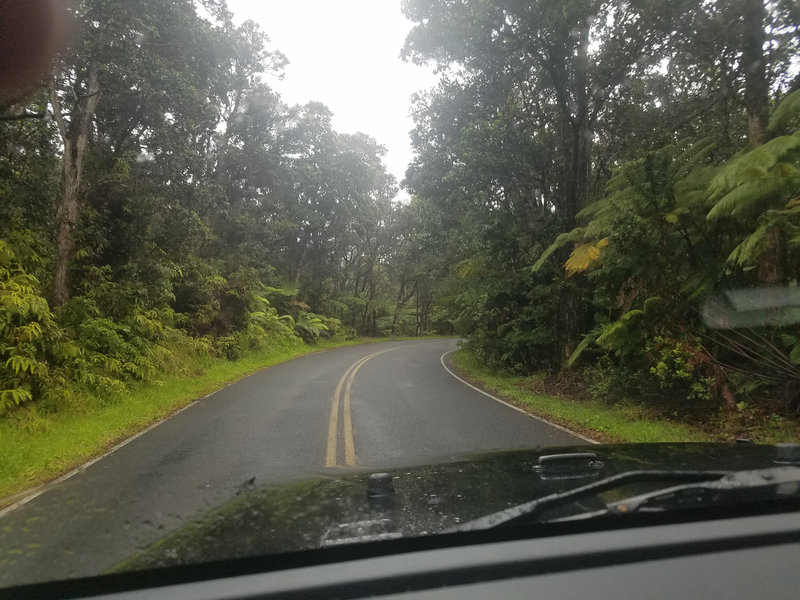 Nāmakanipaio campground trees